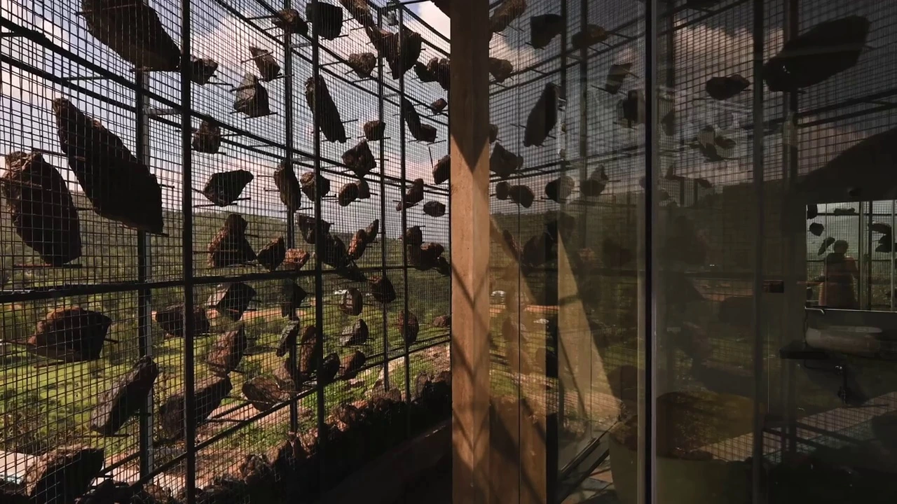 View through the permeable steel screen towards the distant Nilgiri mountain horizon.