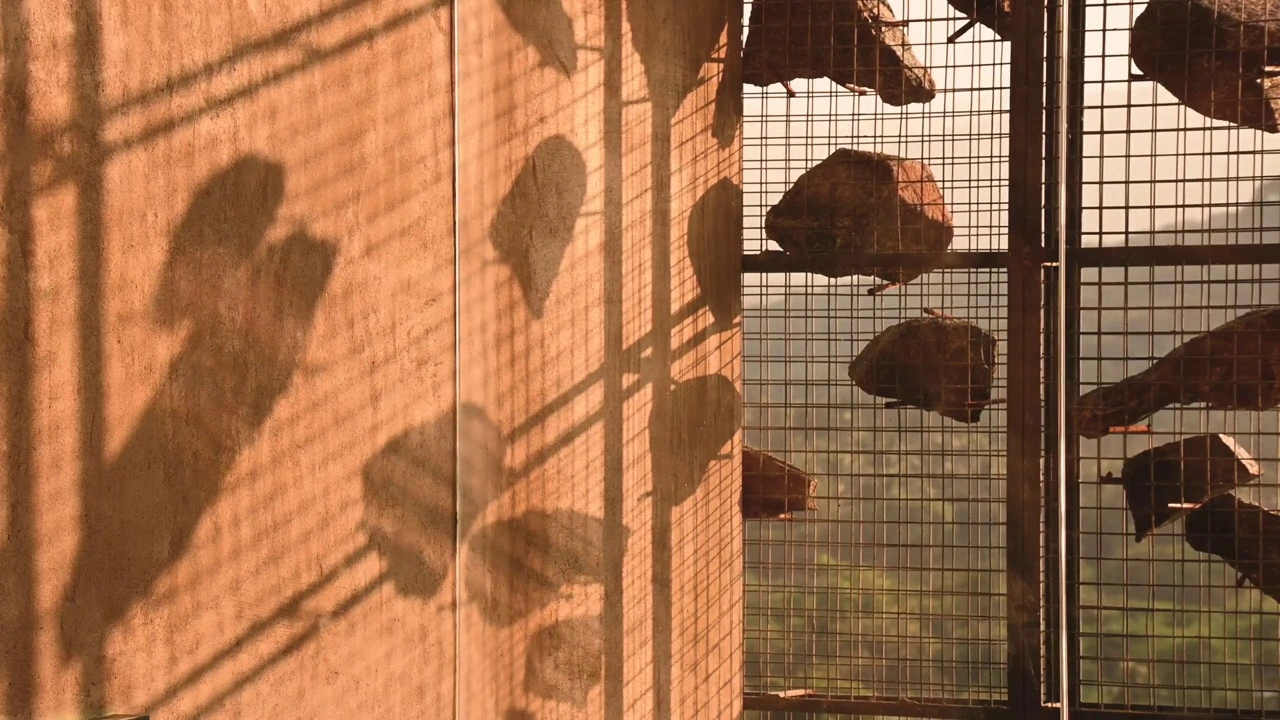 Tactile light and shadow interplay on earthen wall textures.