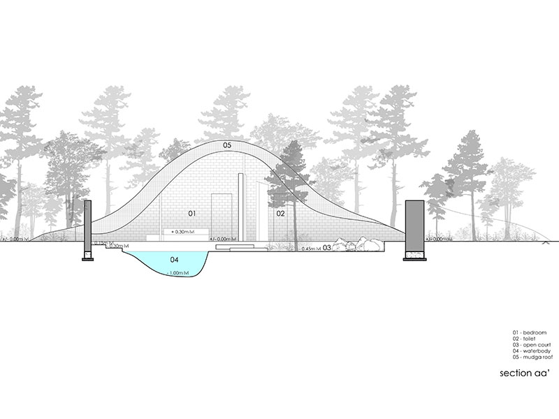 Longitudinal Twin Vault Section